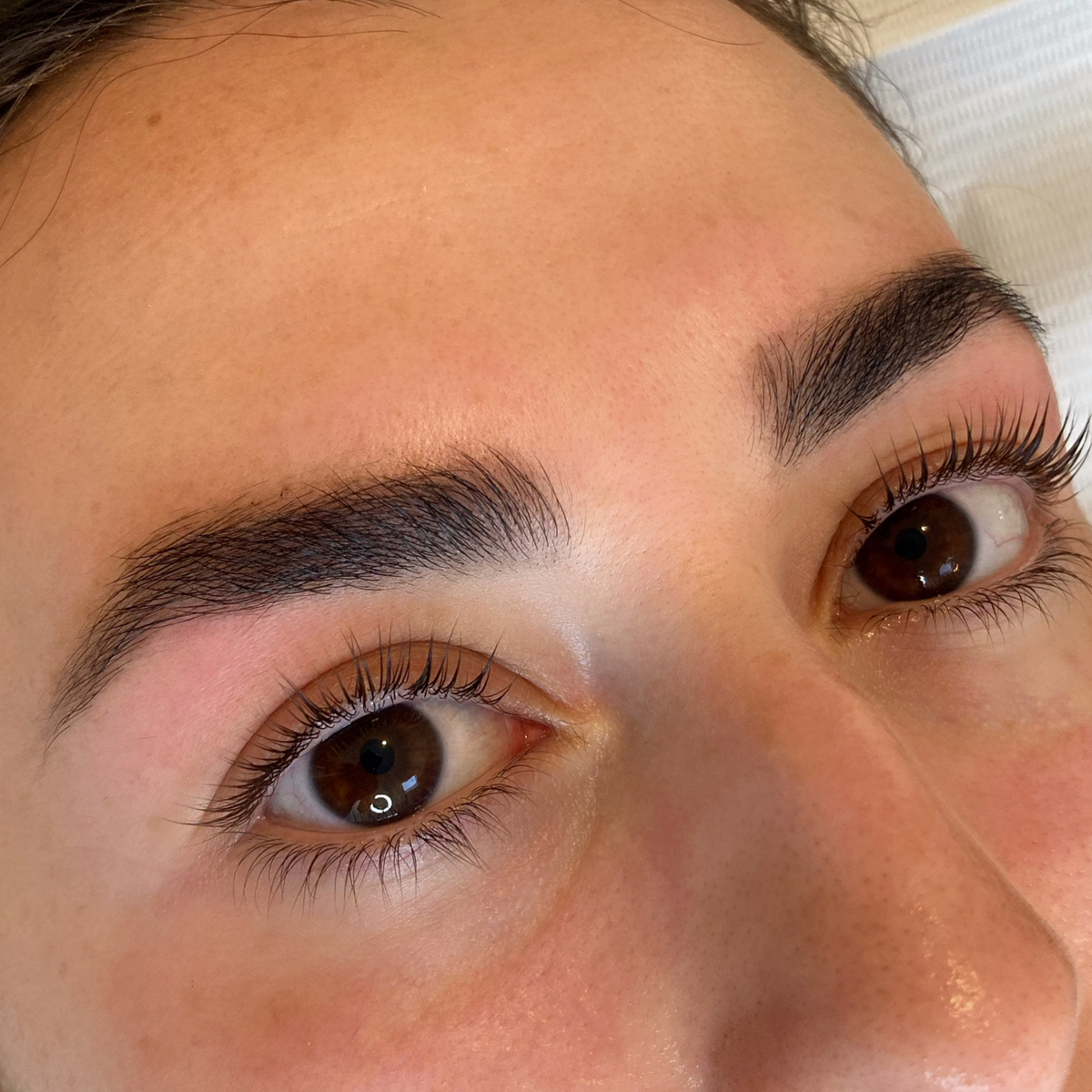 Brow Trends in 2023 and 2024 Lash and Brow Supplies